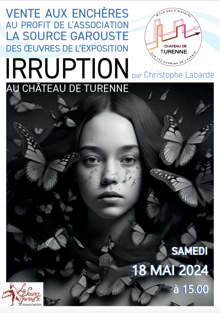 Ventes aux enchères de l'artiste Christophe Labarde